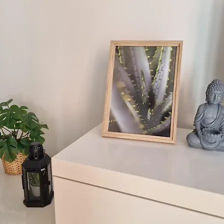 Cameos - Appartement Avec Terrasse Locairbi Le Crès Exterior foto