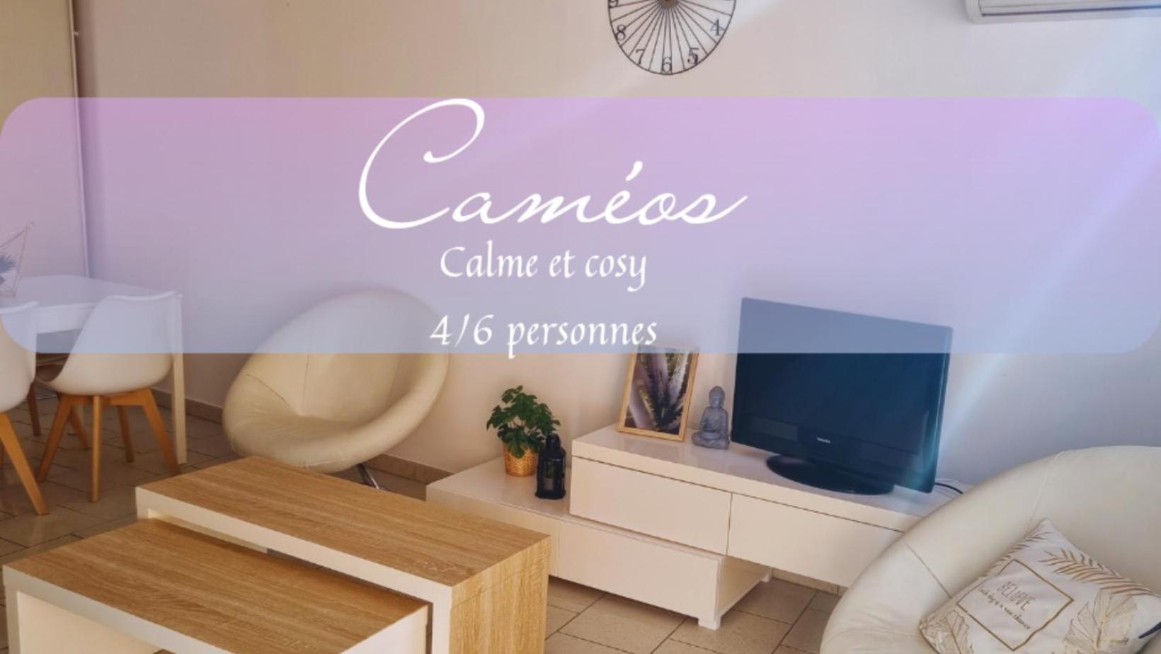 Apartment Cameos - Avec Terrasse Locairbi *